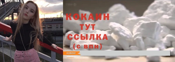 прущие грибы Гусев