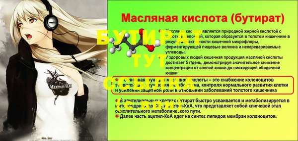 прущие грибы Гусев