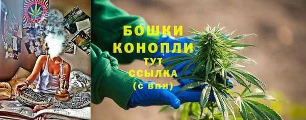 прущие грибы Гусев