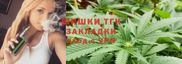 прущие грибы Гусев