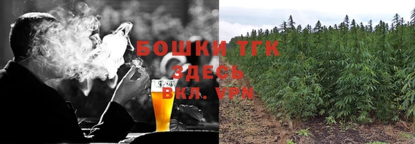 прущие грибы Гусев