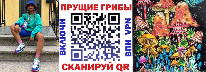 Галлюциногенные грибы Cubensis  Купить закладки  Козельск 